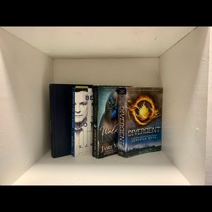 Novel bundle: books lot